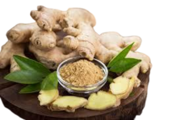 Organic Pahadi Ginger - Image 3